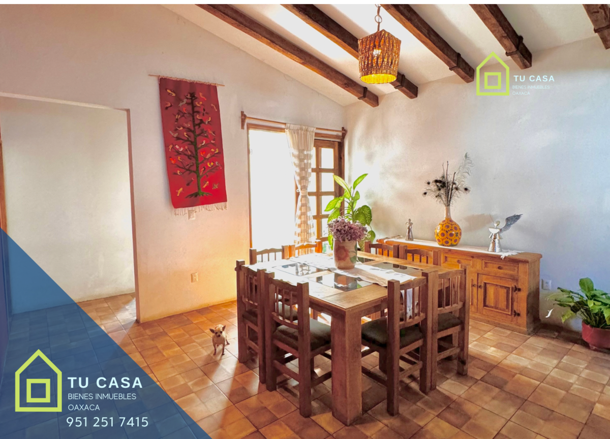 4 de 11: Comedor con bastante iluminación y ventilación natural