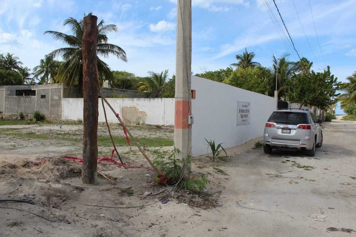 7 de 8
