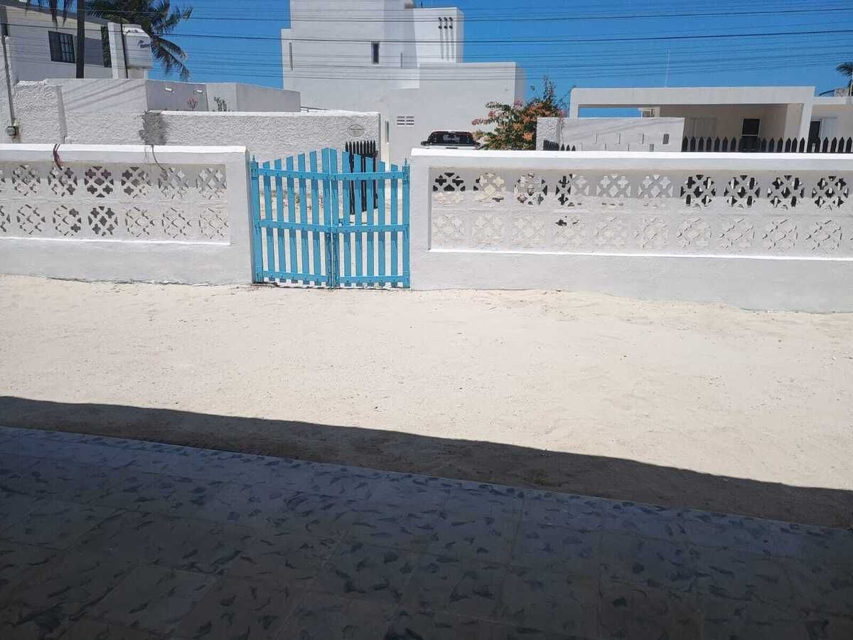1 de 24