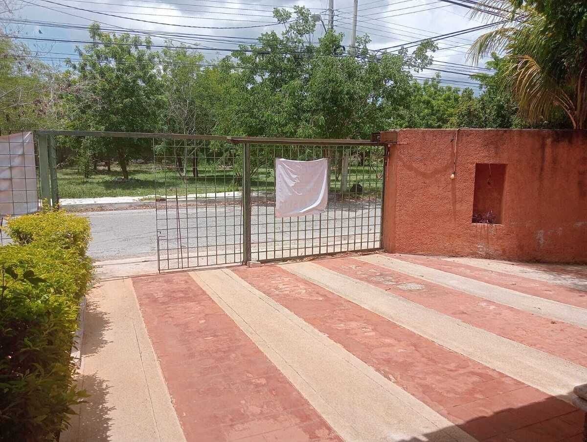 13 de 24
