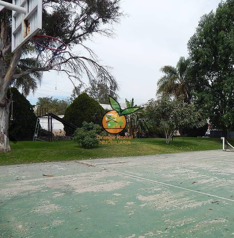 10 de 17