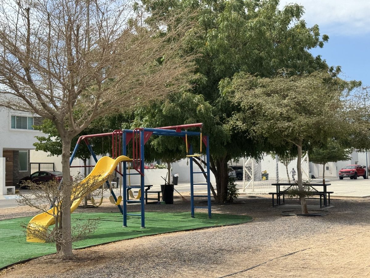 25 de 31