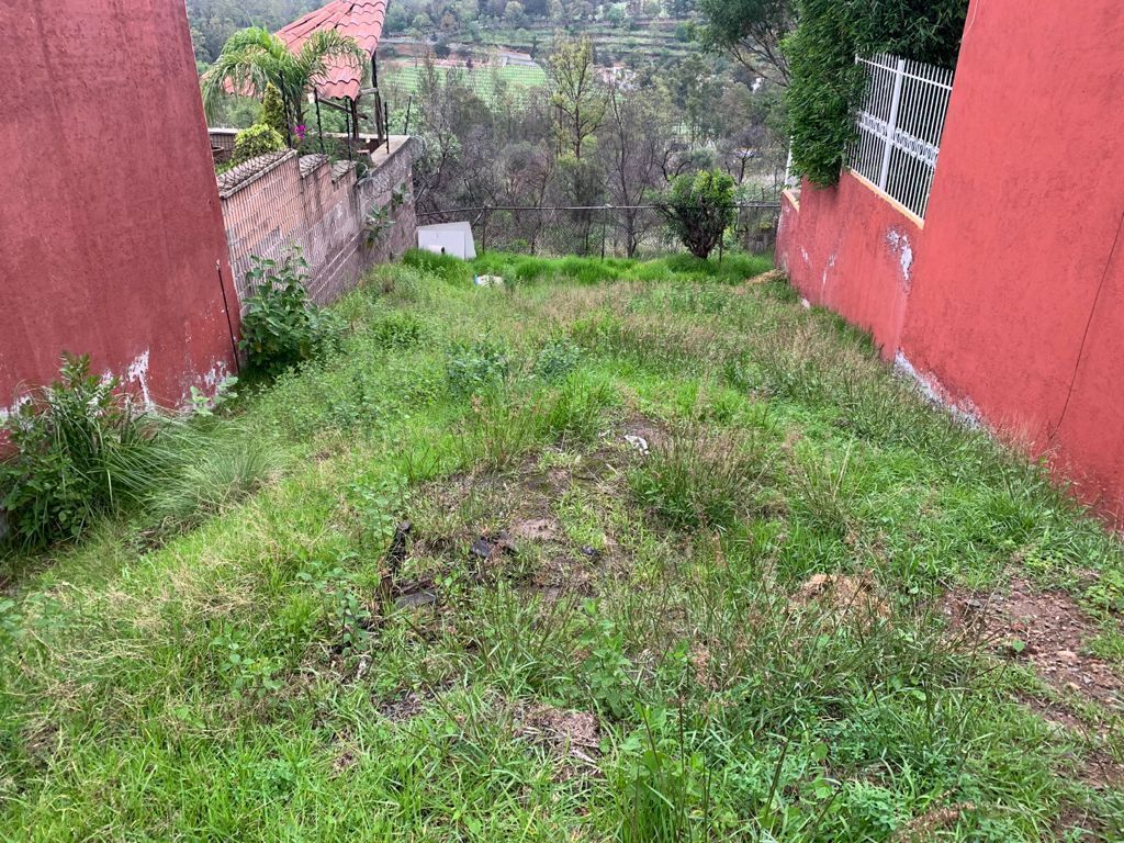 1 de 10