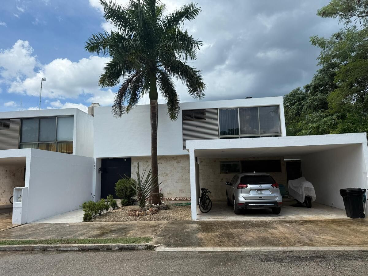 1 de 24