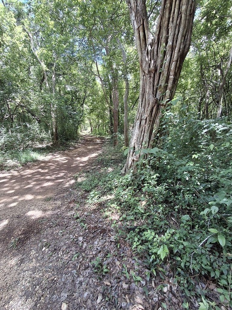 1 de 5: terreno con excelente vegetación, Monte muy alto