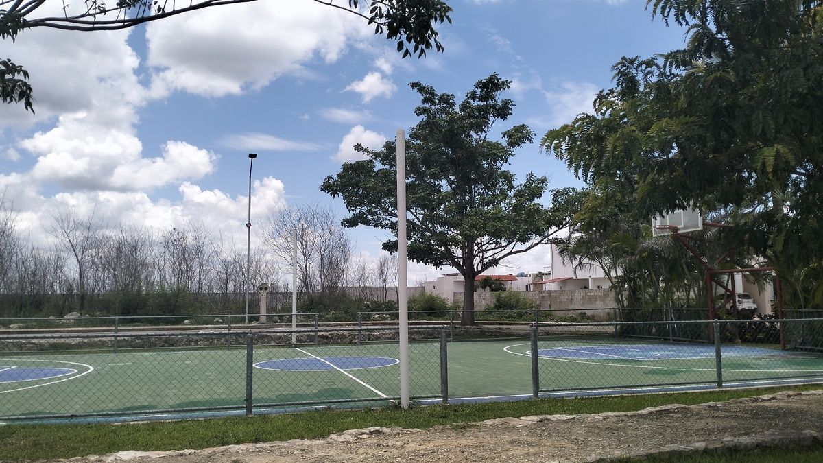 3 de 9