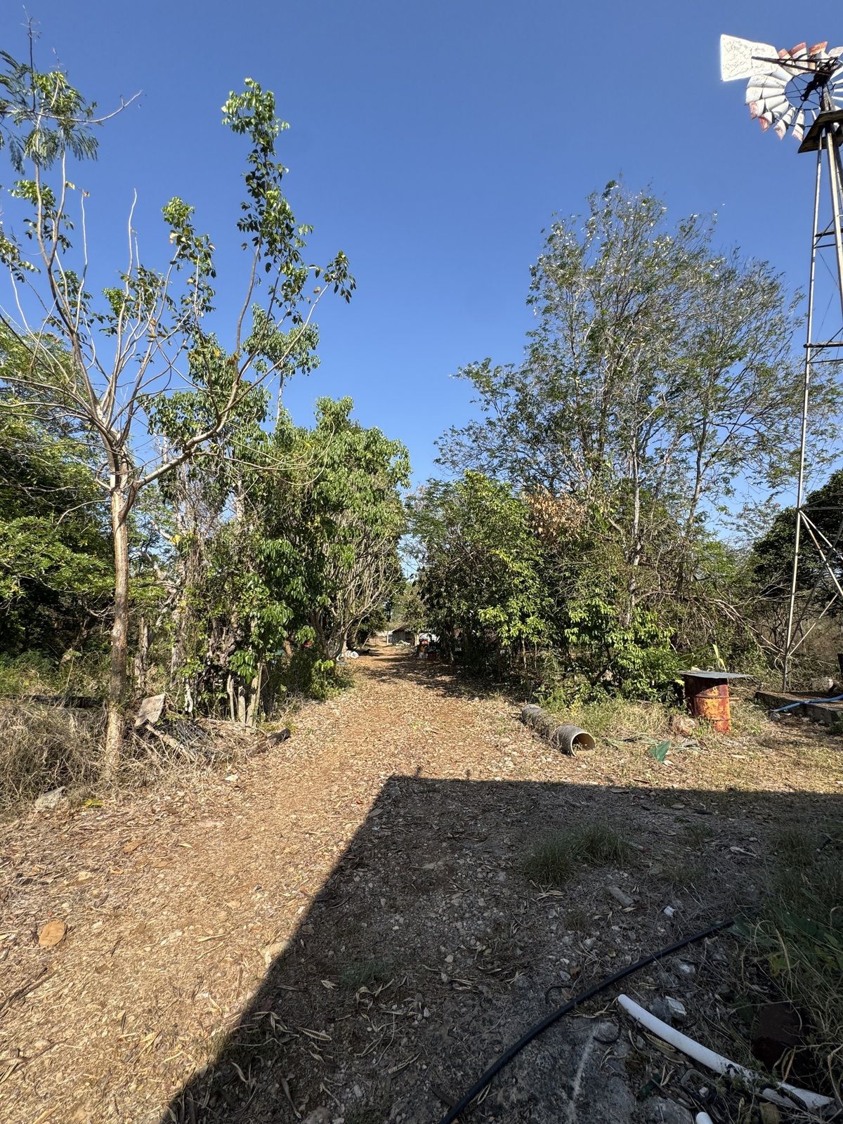 7 de 17