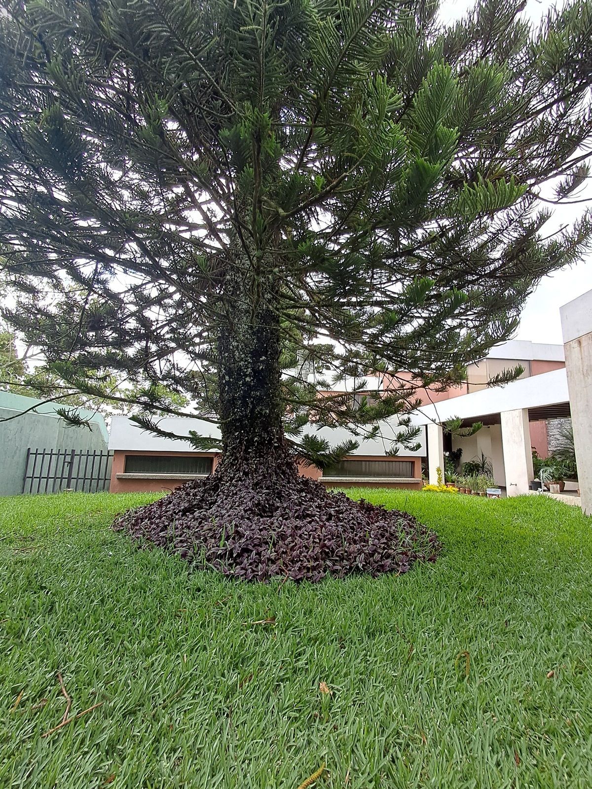 5 de 31: Jardín Frontal con acceso a Jardín cercado para perros