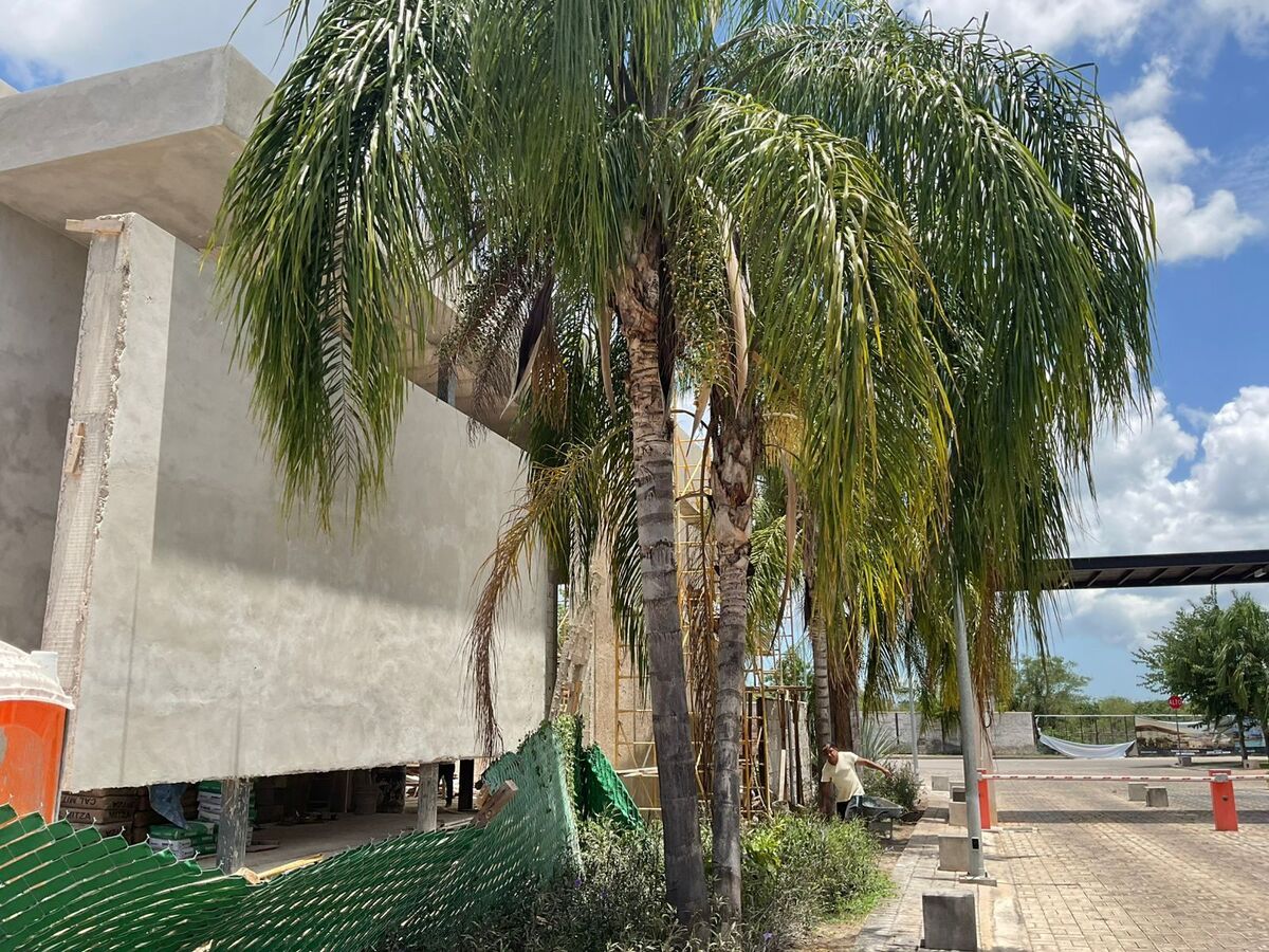 7 de 27: Avance de obra