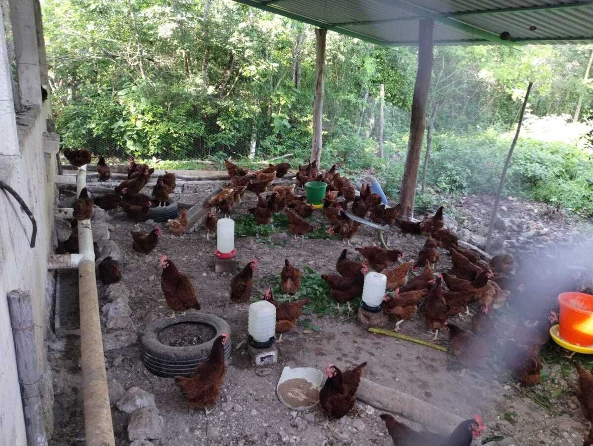 3 de 10