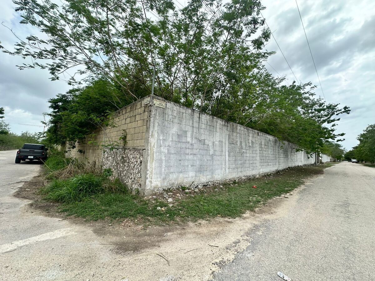 1 de 3