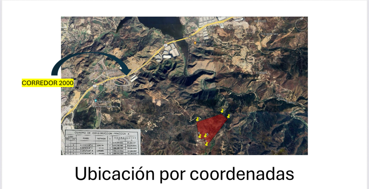 13 de 16