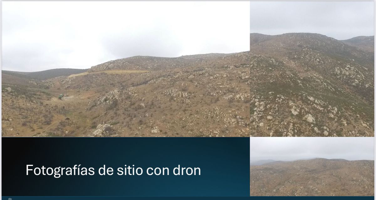4 de 6