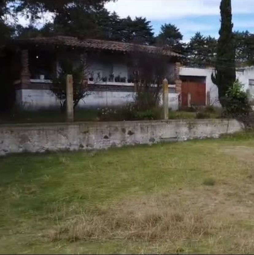Imagen 4 de 7