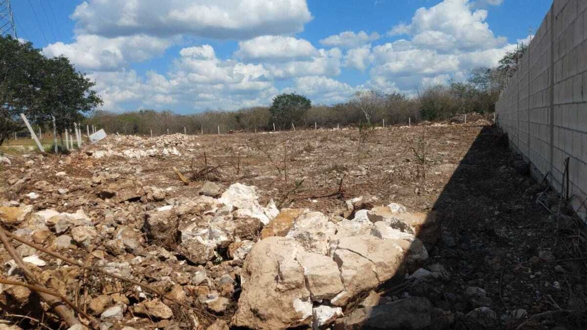 5 de 6: Terreno