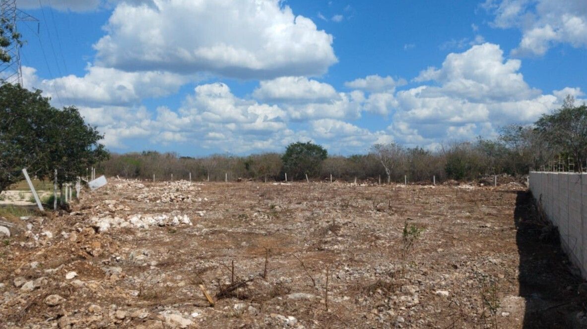 1 de 6: Terreno