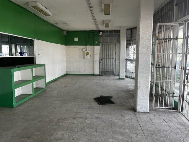 6 de 11