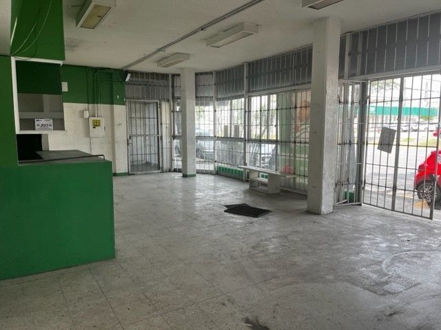 7 de 11
