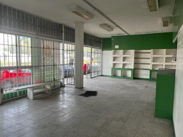 10 de 11