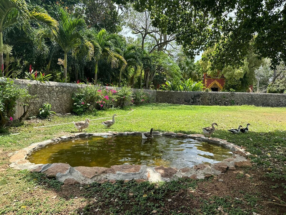 3 de 39