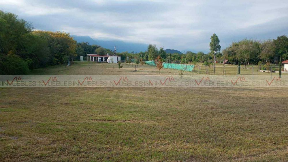 2 de 12