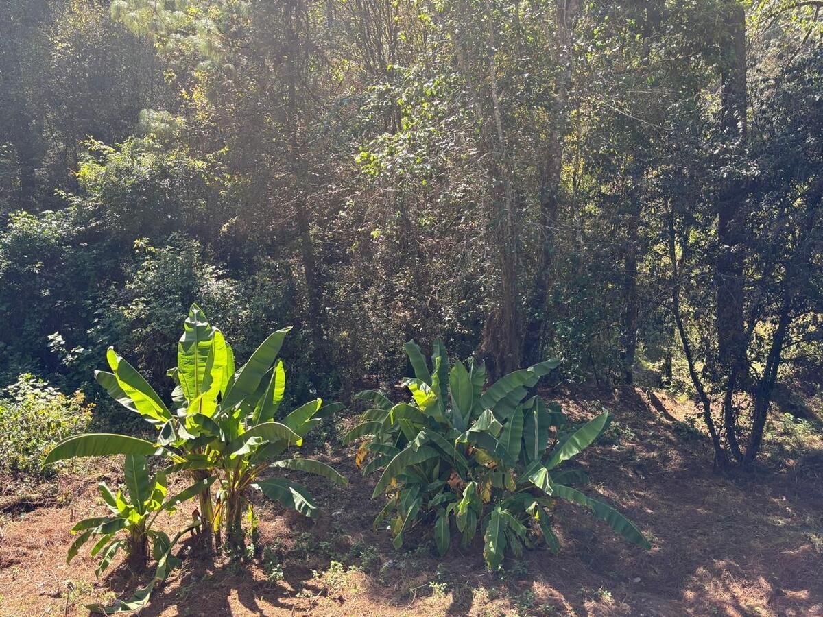5 of 10: terreno