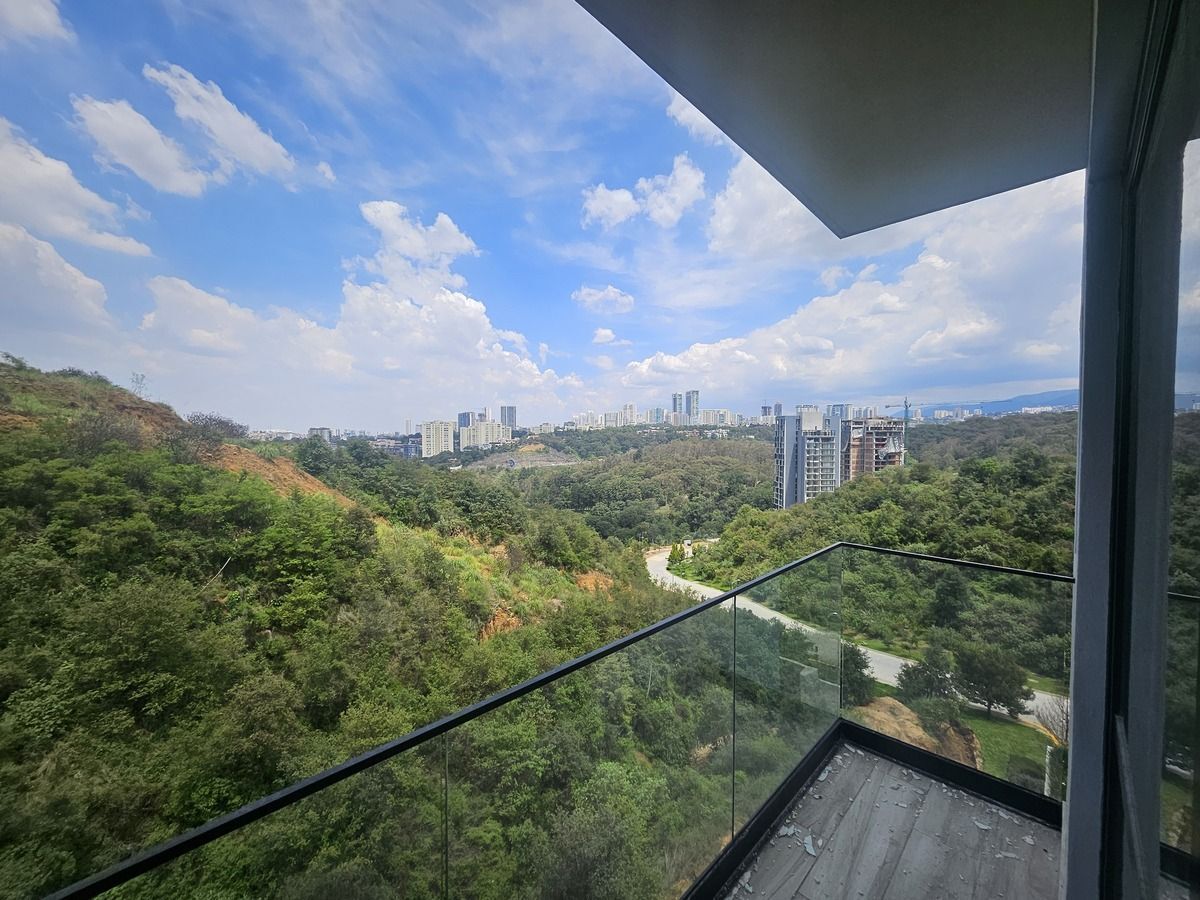 11 de 14