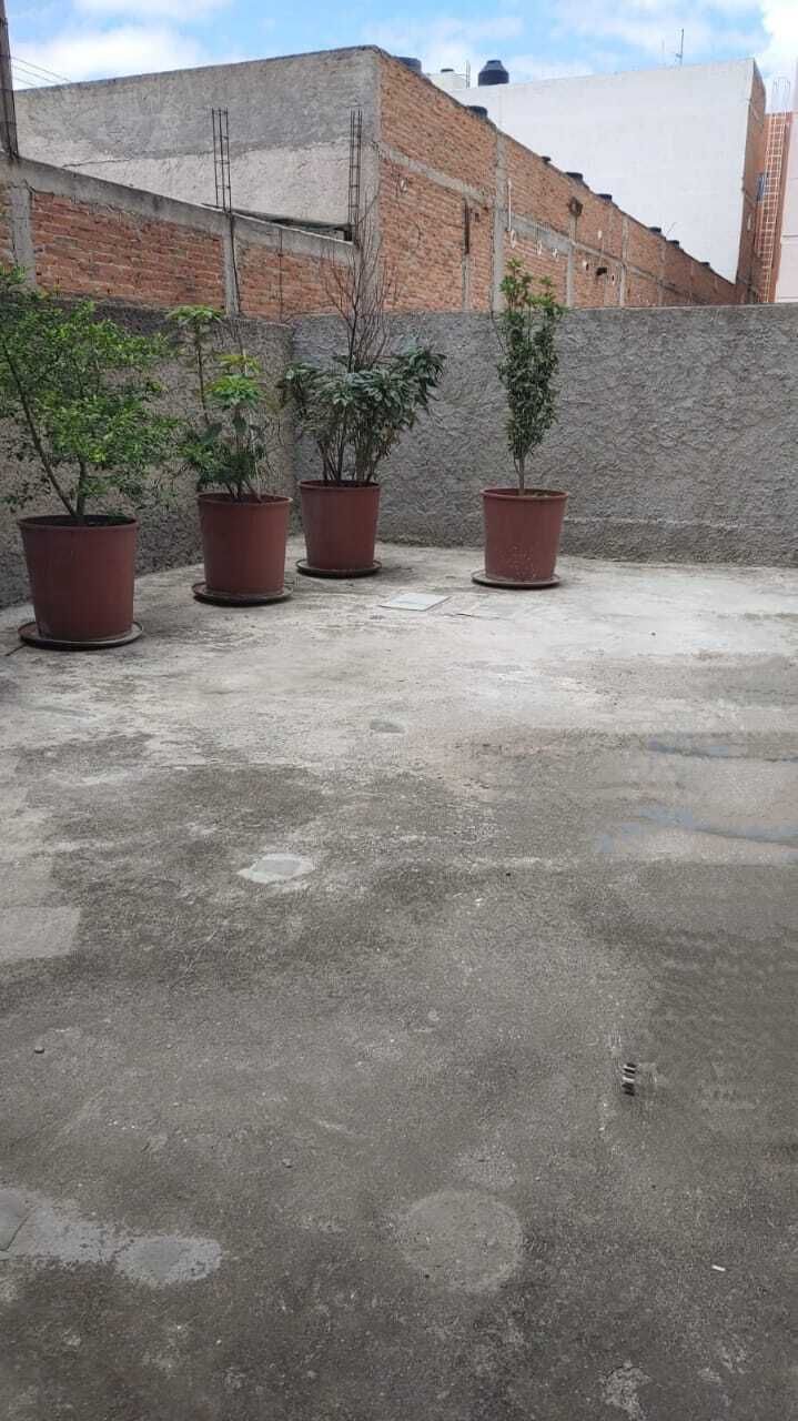 5 de 5