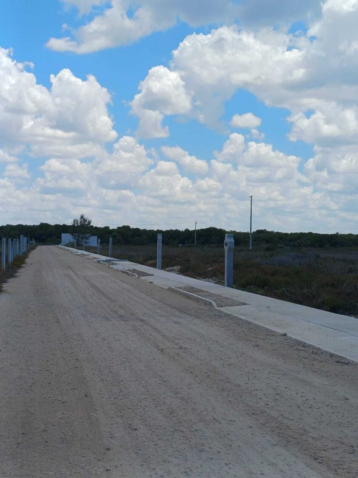 8 de 40