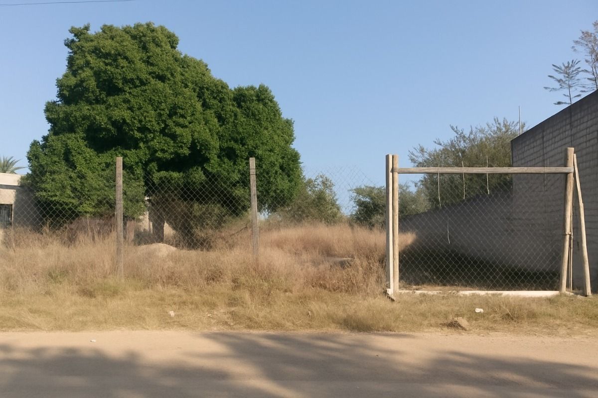 2 de 3