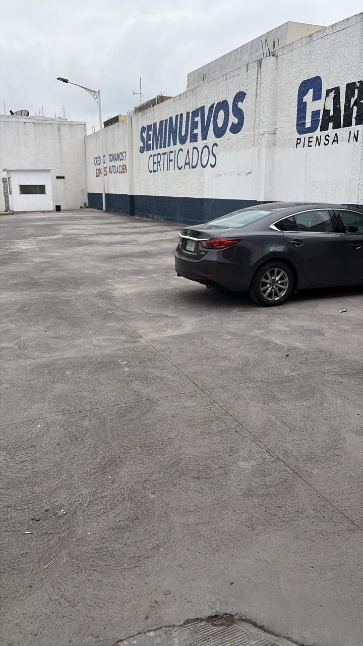5 de 12