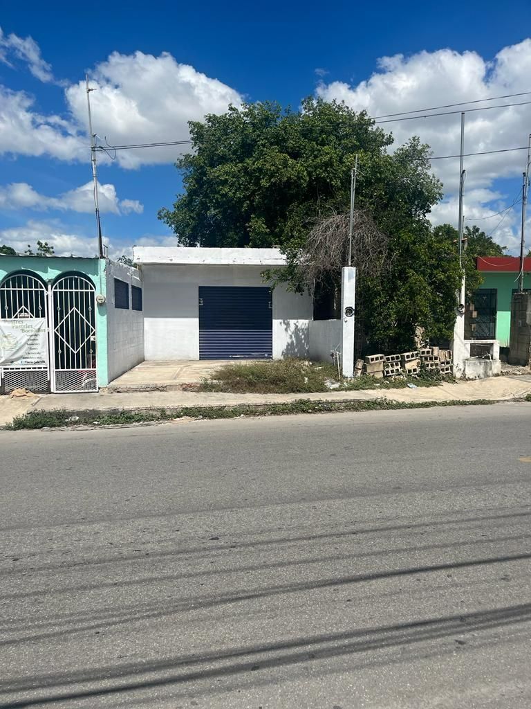1 de 6