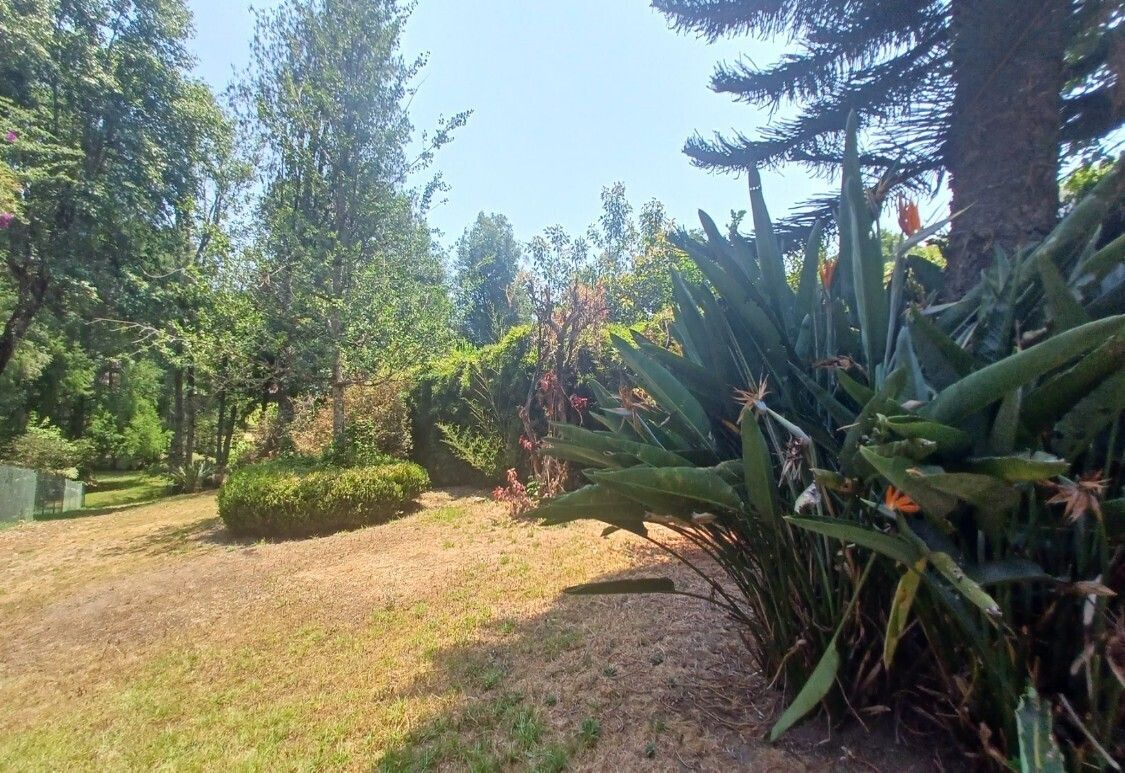 2 de 4