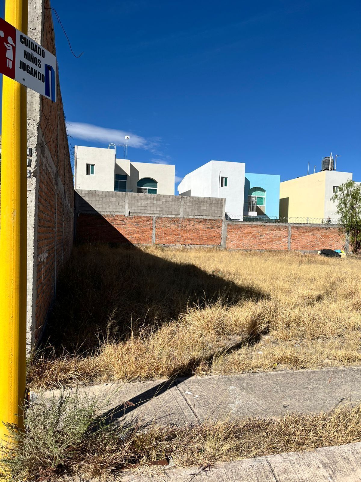 5 de 6