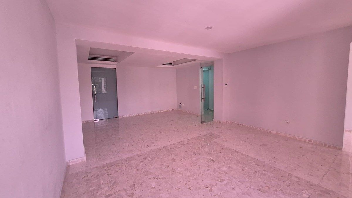 Local Comercial en El Millón, Santo Domingo Centro (Distrito Nacional), foto 2 de 10