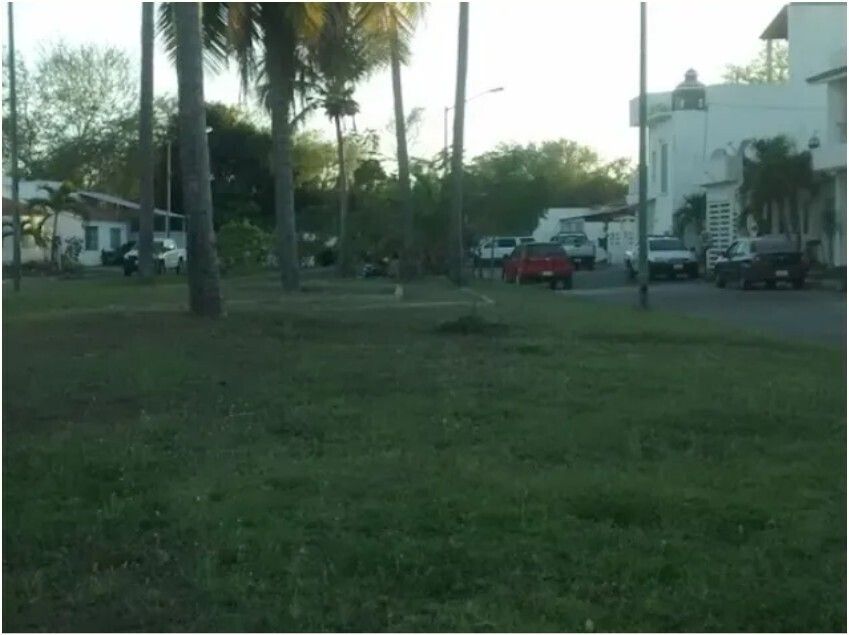 Imagen 3 de 10