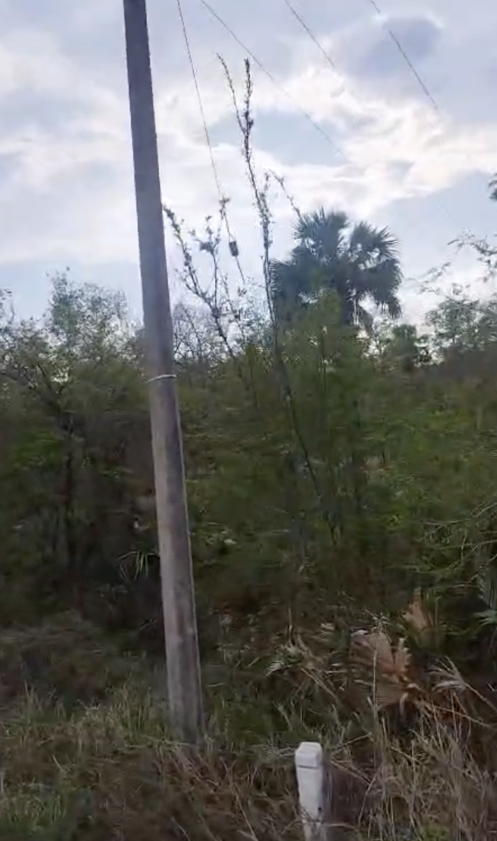 2 de 10