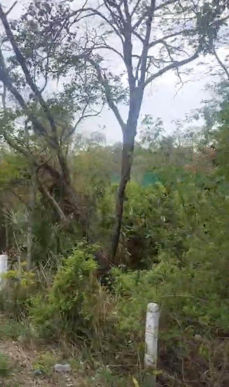 4 de 10