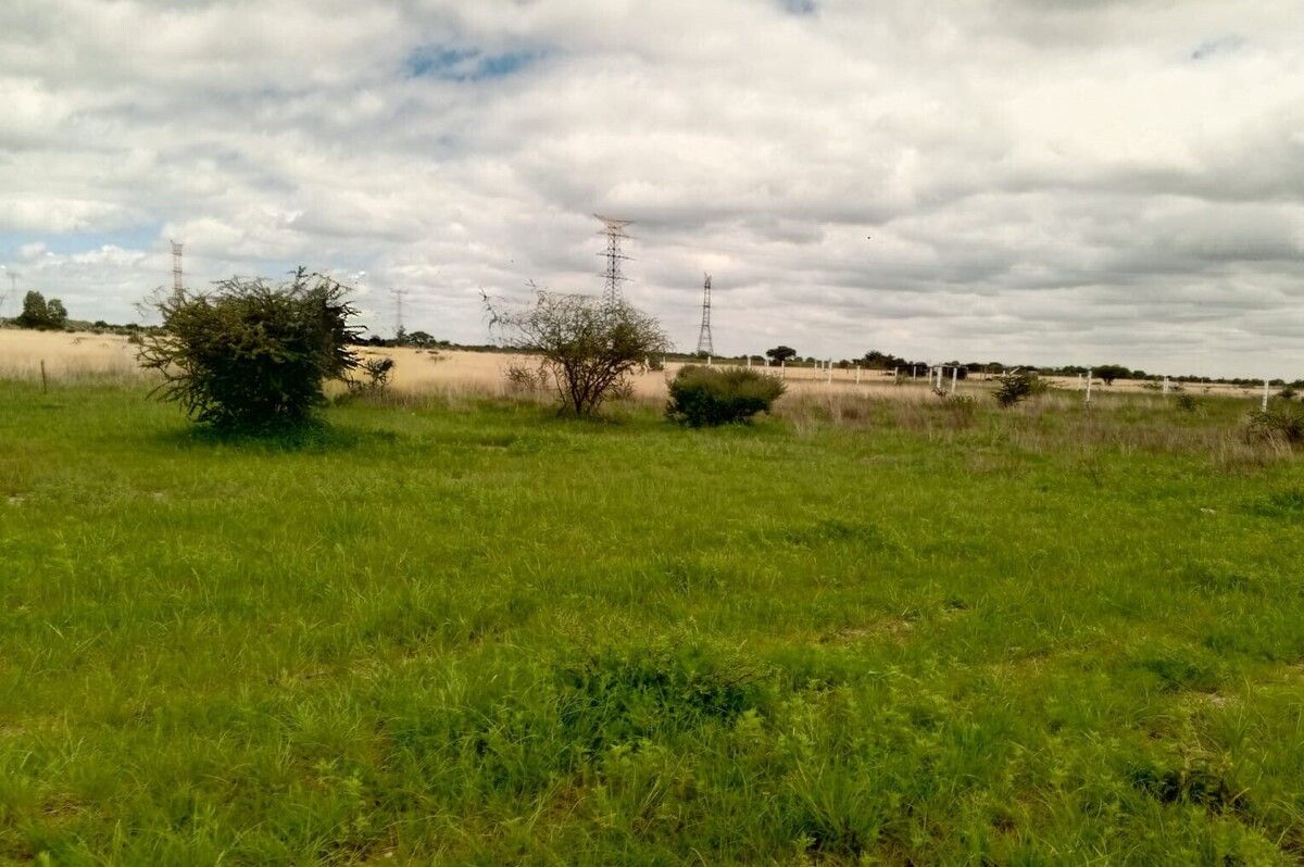1 de 3