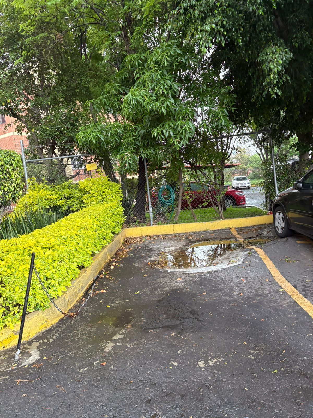 3 de 17