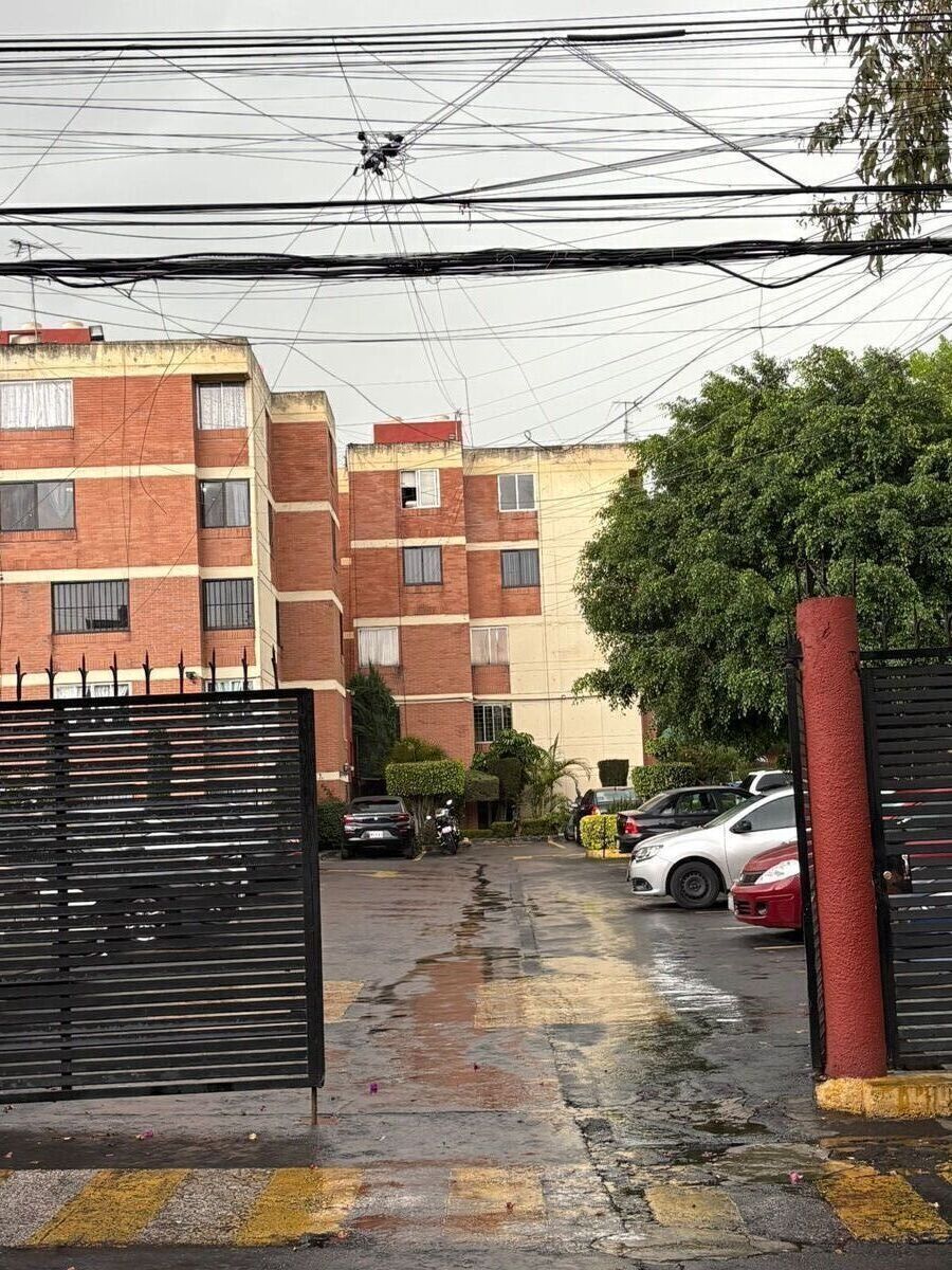4 de 17
