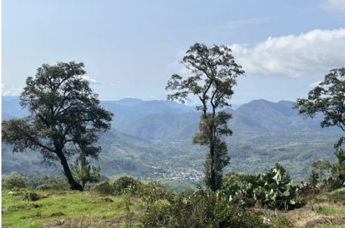 31 de 33