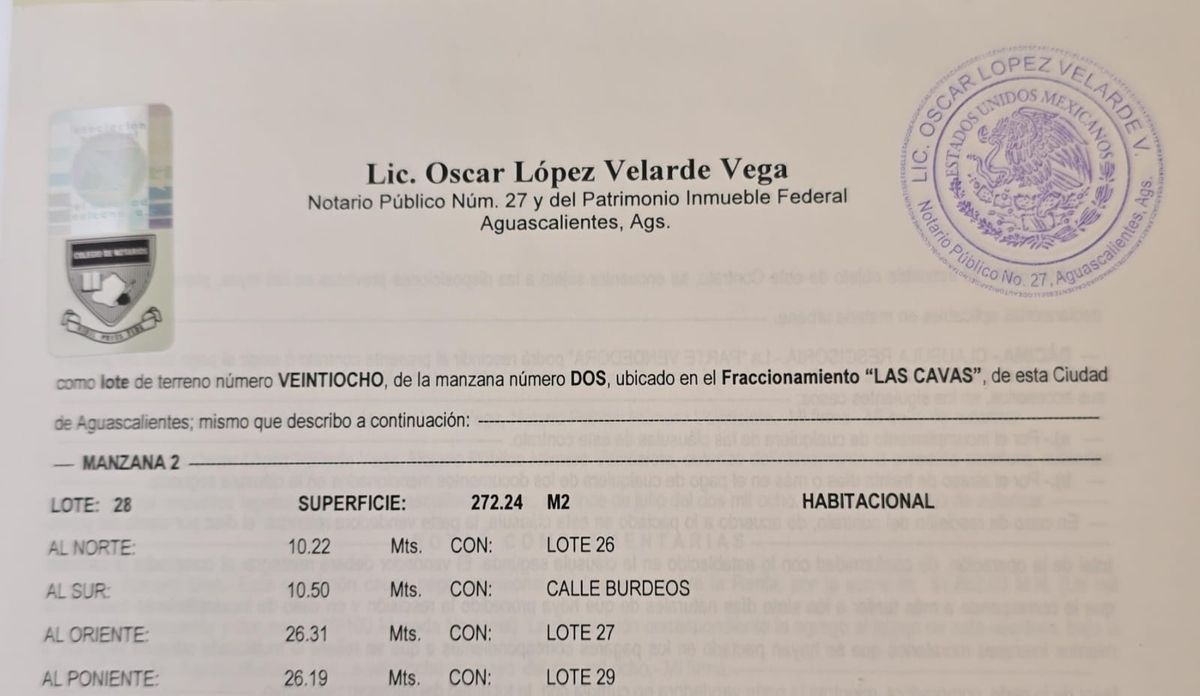 9 de 9