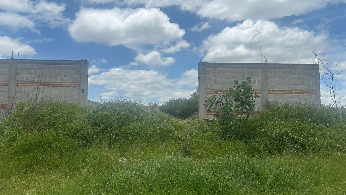 2 de 10
