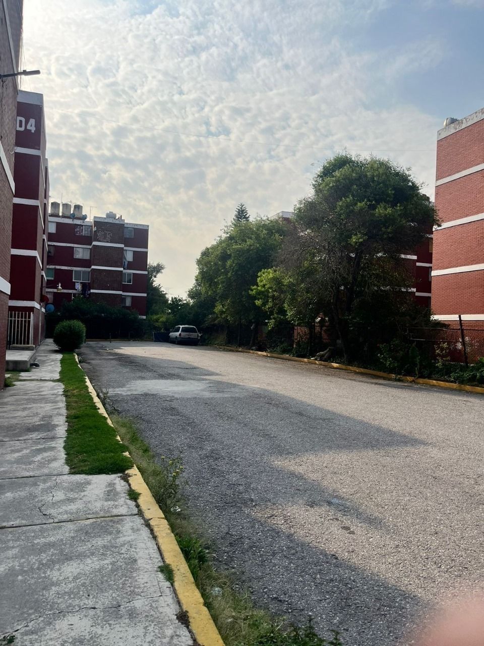 2 de 12