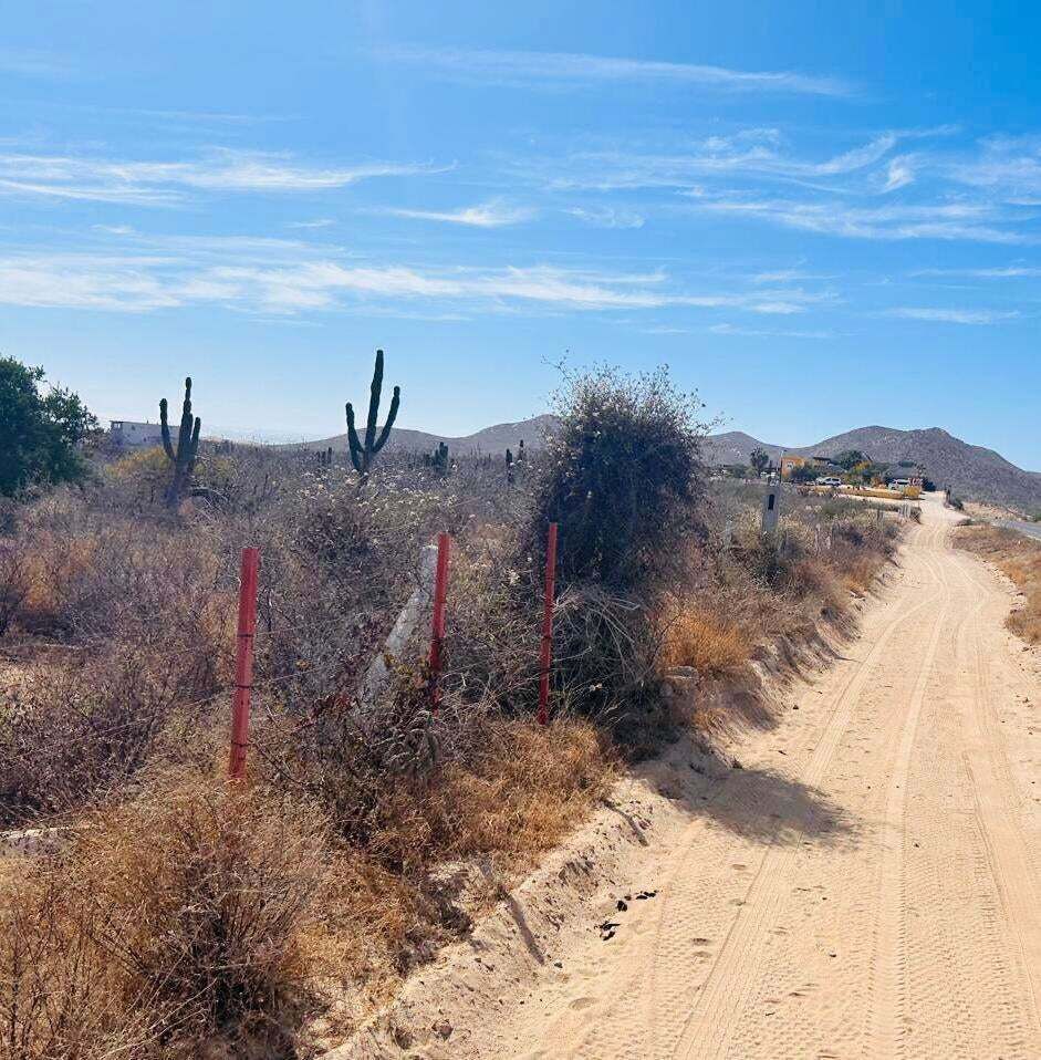 5 de 17