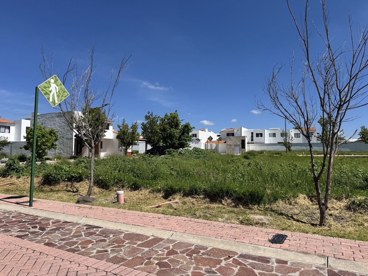 3 de 14
