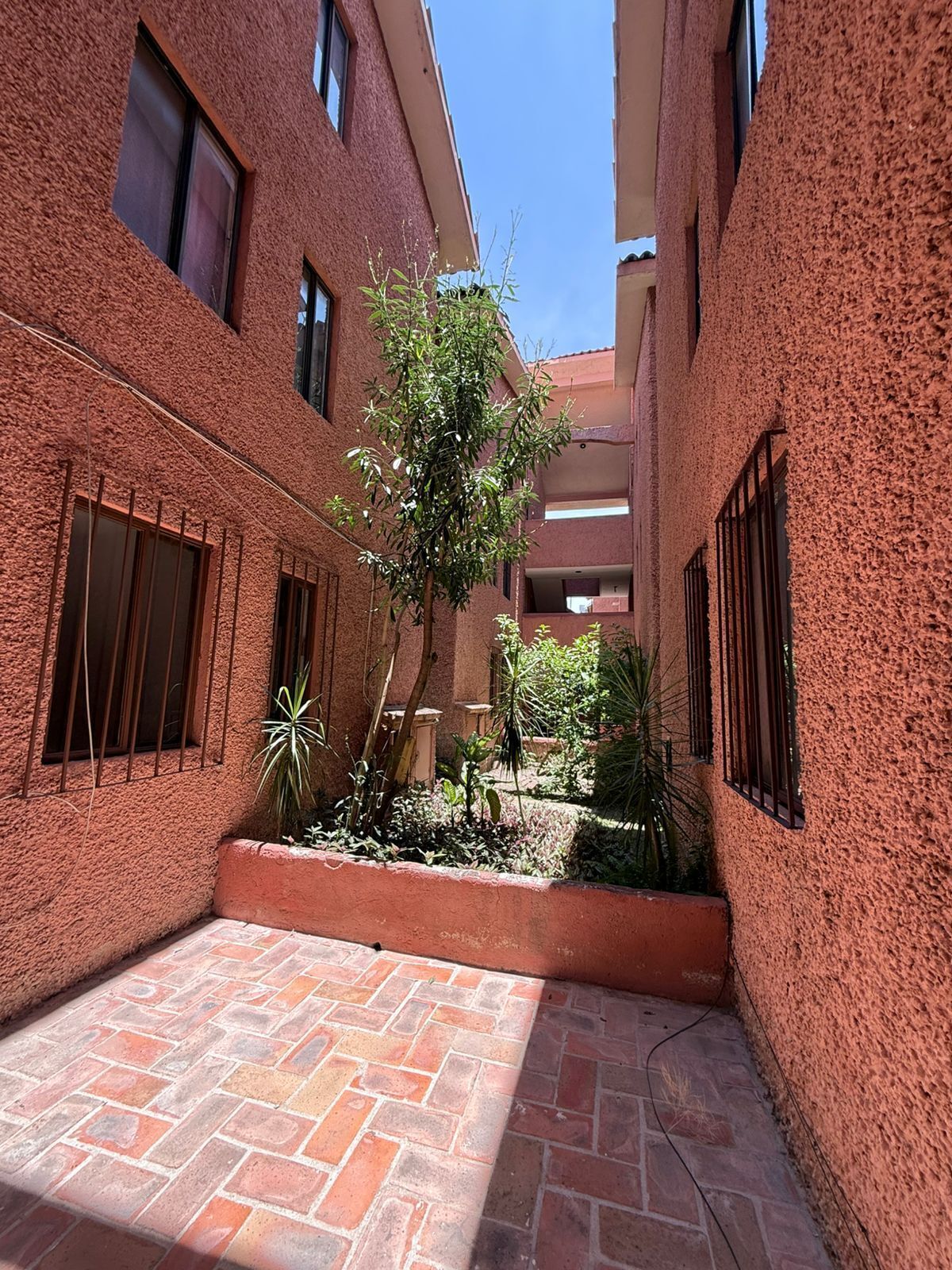 3 de 21