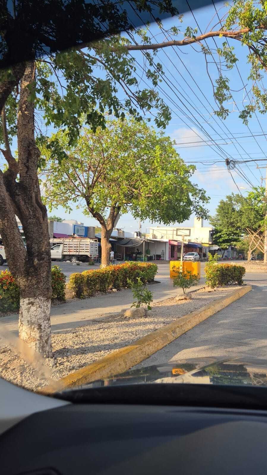 3 de 9