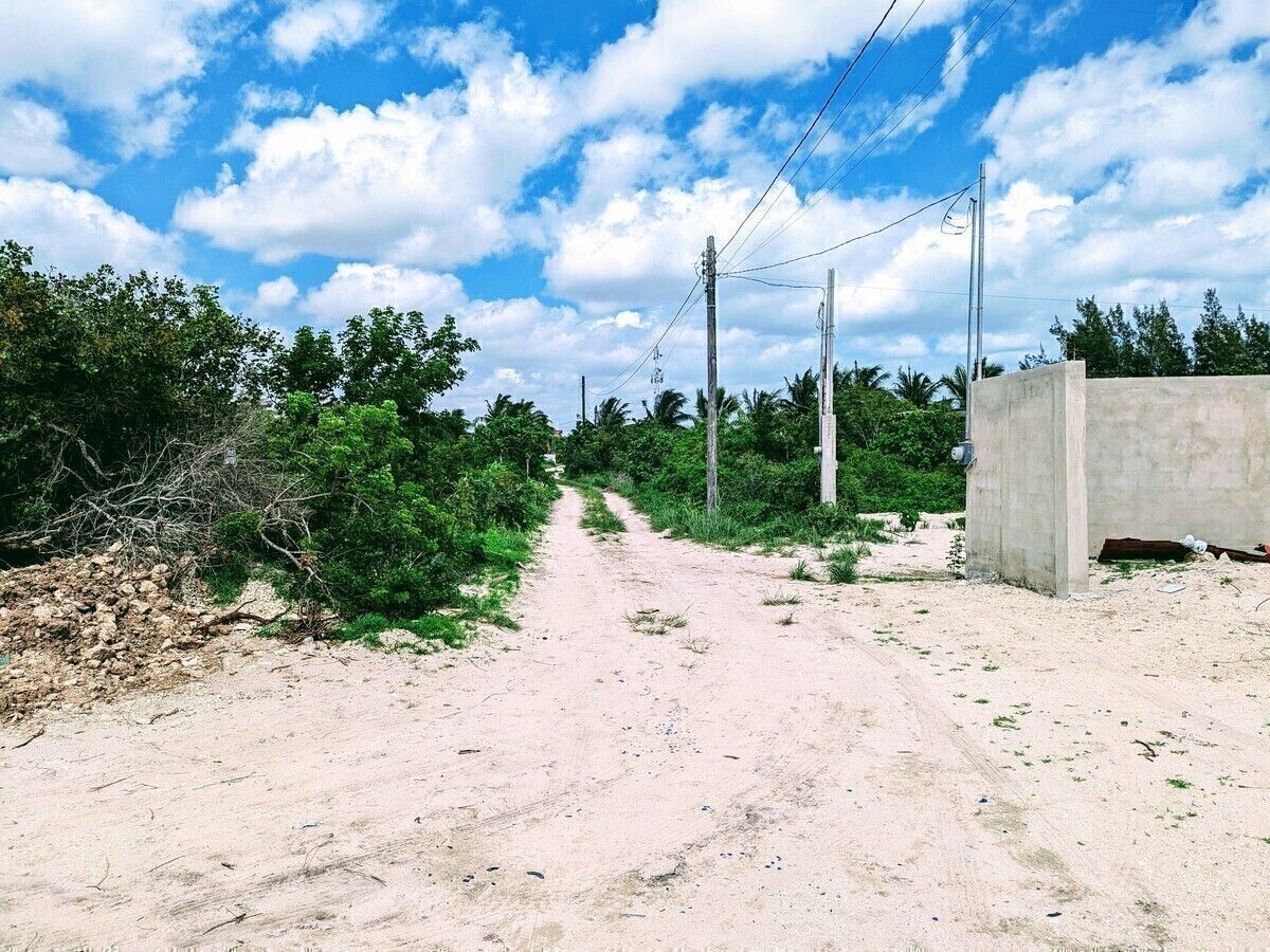 5 de 13